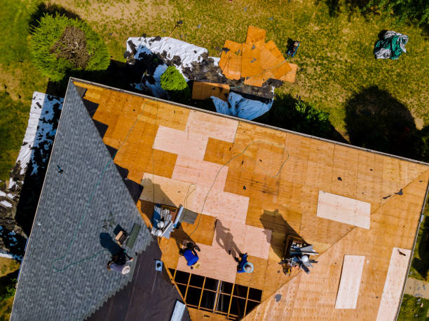 Professional Roofing Contractor in Alexandria, VA